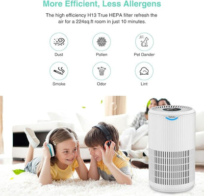 Tailulu Air Purifier Replacement Filter - Image 6
