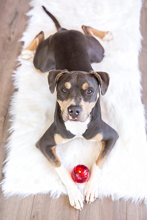Pet Qwerks Blinky Babble Ball - Image 4
