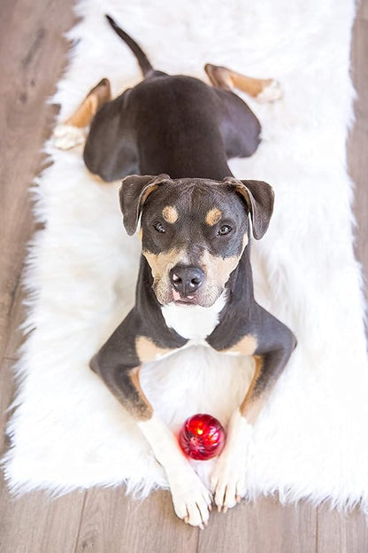 Pet Qwerks Blinky Babble Ball - Image 4