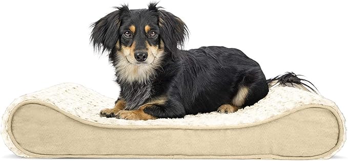 Furhaven Orthopedic Dog Bed for Medium/Small Dogs w/ Removable Washable Cover by FurHaven