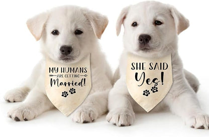 Engagement Gifts My Humans are Getting Married! SHE Said Yes! Pet Bandana Scarf - Image 6