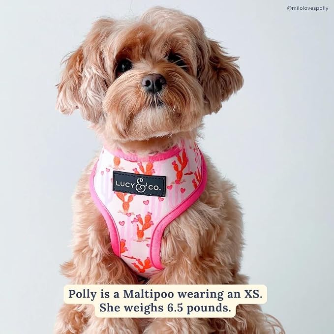 Lucy & Co. Little Lamb Dog Collar - Image 5