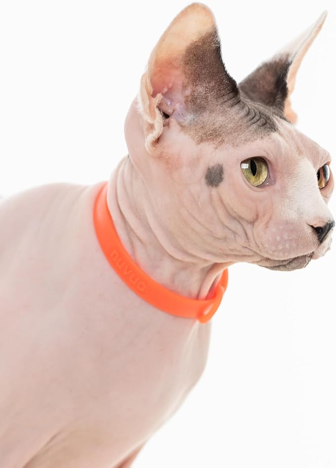 3 Pack Breakaway Cat Collar - Image 6