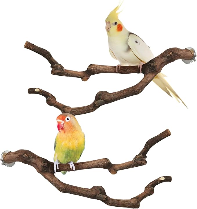 PINVNBY Natural Parrot Perch Grape Wood Bird Stand Pole Parakeet Paw Grinding by PINVNBY