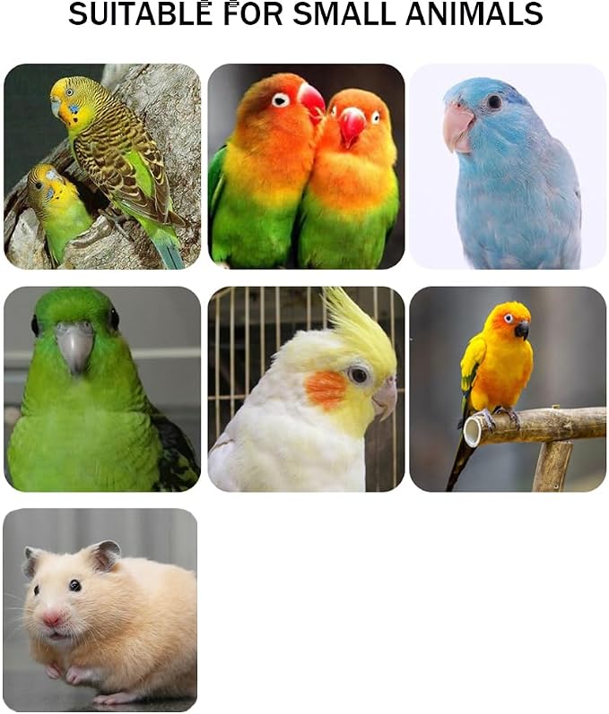 Hamiledyi 5 Pcs Parrot Perch Stand Natural Wood Bird Perch Stand Platform Paw - Image 4