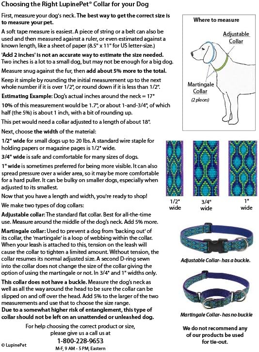 LupinePet Originals 1" Jelly Roll 12-20" Adjustable Collar - Image 3