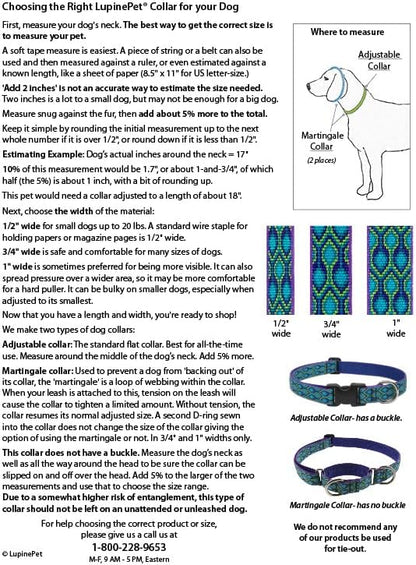 LupinePet Originals 1" Jelly Roll 12-20" Adjustable Collar - Image 3