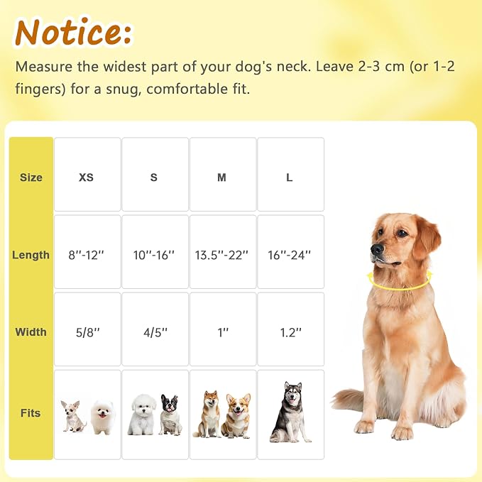 Yellow Dog Collar for Extra Small Dogs, Spring & Summer Theme Small Dog Collars - Image 2