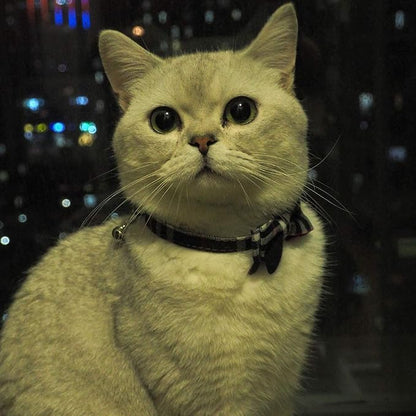Cat Collar Breakaway with Bell and Bow Tie, Plaid Design Adjustable Safety - Image 3
