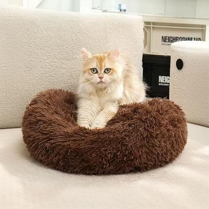 Cat Beds for Indoor Cats - Image 6