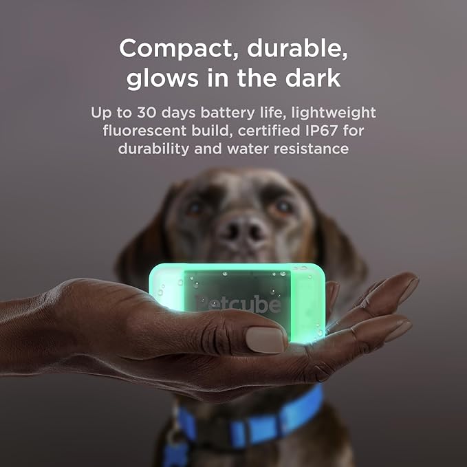 Petcube GPS Tracker for Dogs – Real-Time Location Tracking, Escape Alerts & - Image 5