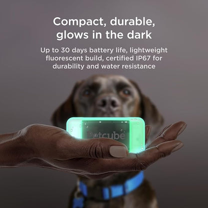Petcube GPS Tracker for Dogs – Real-Time Location Tracking, Escape Alerts & - Image 5