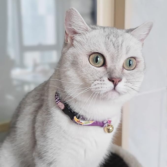 PetSoKoo Cat Collar with Kitty Face Bell. Cute Japan Chirimen Kitten Collar. - Image 4