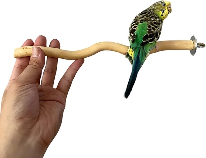 Allazone 5 PCS Natural Parrot Perch Bird Stand Wooden Parrot Perch Stand - Image 5