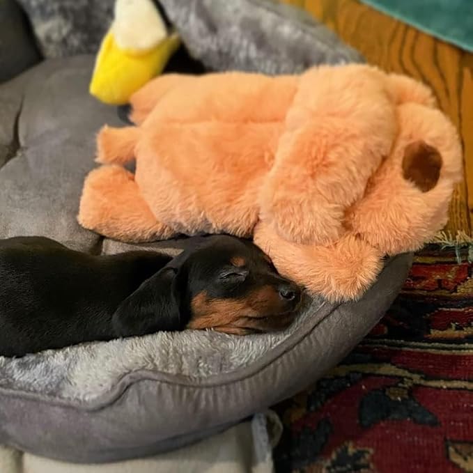 Snuggle Puppy Junior Biscuit - Image 2