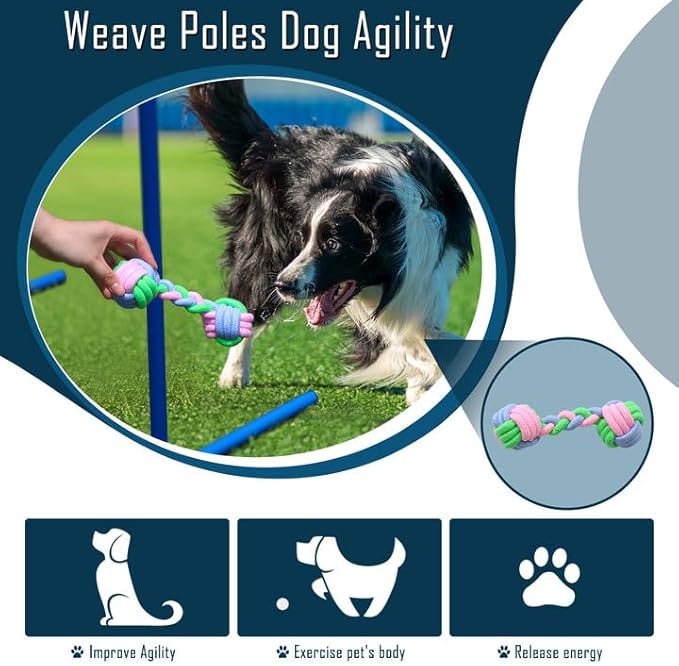 Dog Agility Course Backyard Set, Dog Agility Equipment, Portable Agility - Image 5