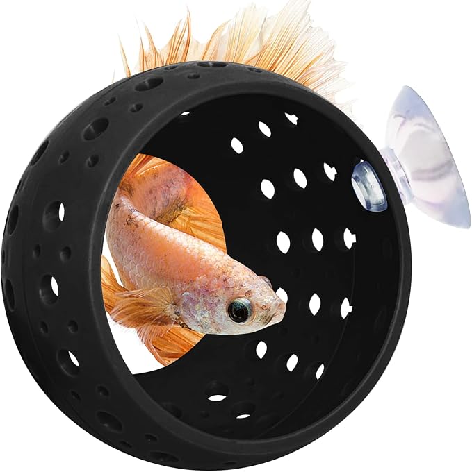 Fhiny Betta Tunnel, Aquarium Fish Hideout by Fhiny