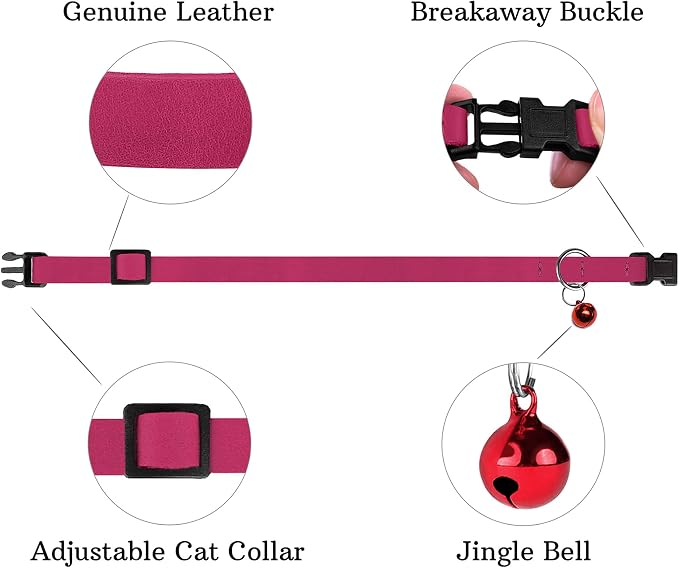 Breakaway Cat Collar Leather - Image 4