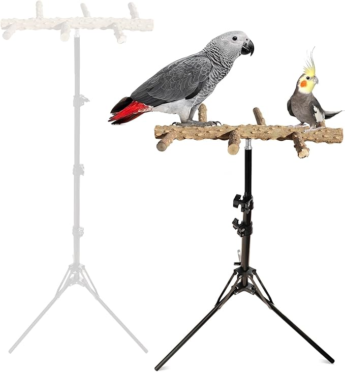 Wooden Bird Perch Stand with a Height Adjustable Tripod, Bird Training by Unknown