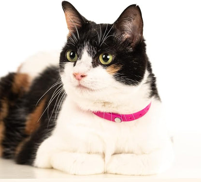 3 Pack Breakaway Cat Collar - Image 7