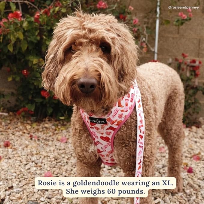 Lucy & Co. Cute Reversible Dog Harness Walking Halter - Image 4