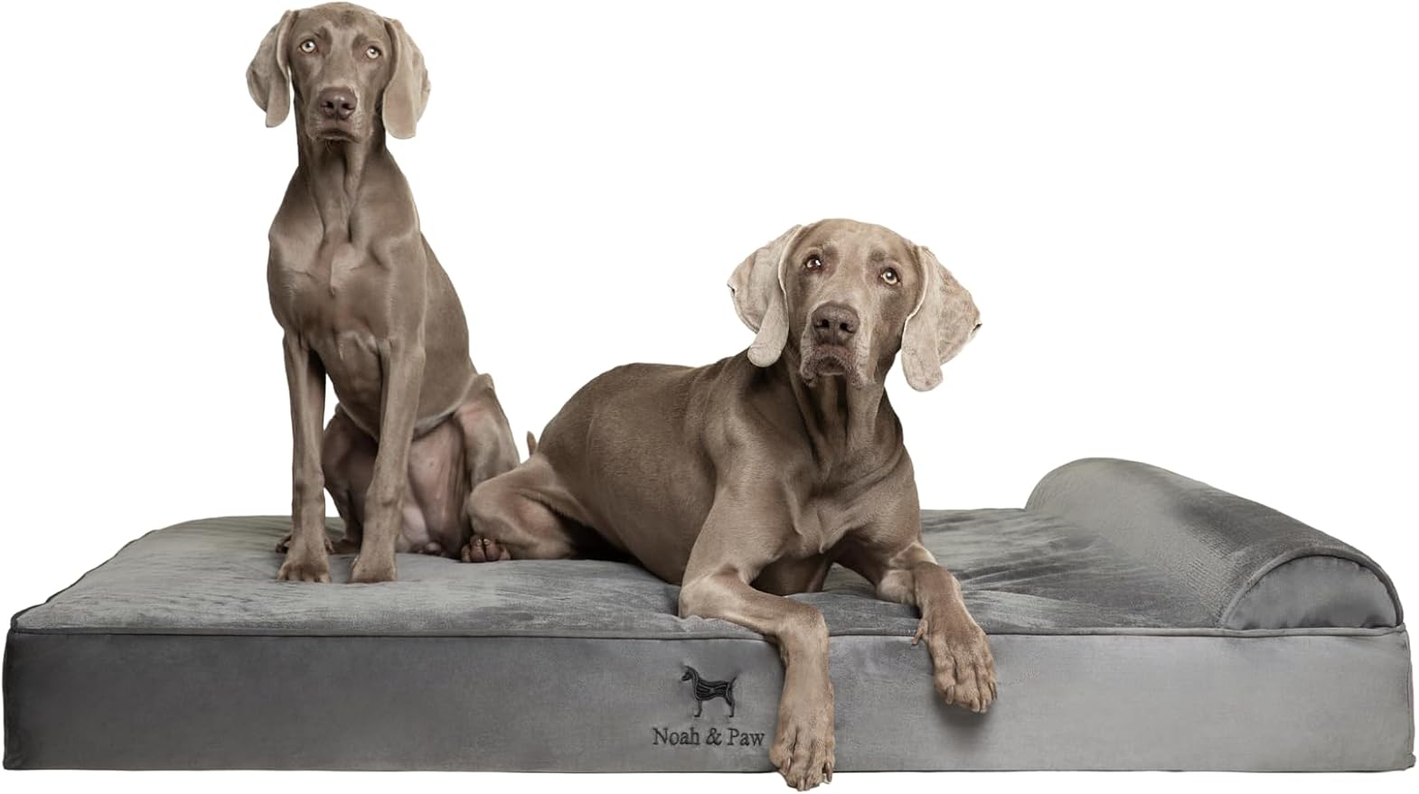 NOAH & PAW Giant Dog Bed XXL 55x45x9.5 Inch, Orthopedic Dog Beds, Eggshell by NoahPaw