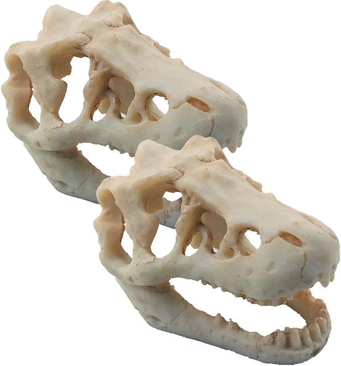 2 Pack Dinosaur Aquarium Decorations Skull Aquarium Ornament Mini Dinosaur Mold by MTGHYARE