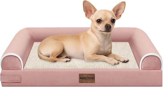 Small Dog Bed Orthopedic Washable: Beds Bolster Small Sized Dogs Bed Egg Crate by Nanuya