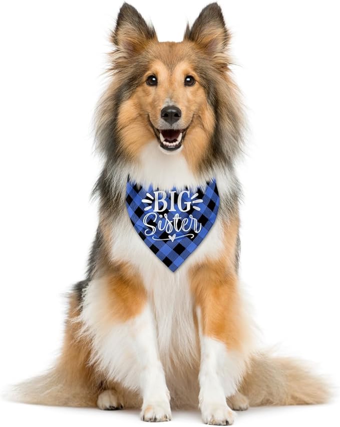 Big Sister Dog Bandanas, Buffalo Plaid Pet Scarf, Pet Dogs Scarf Accessories - Image 2