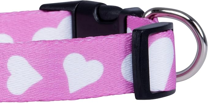 Native Pup Valentine’s Dog Collar- Valentines Day Pet Collars- Valentine Girly - Image 4