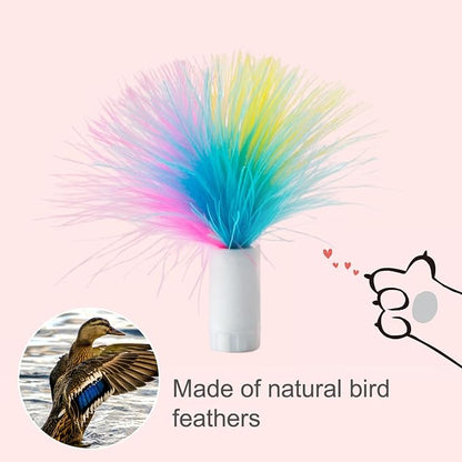 ORSDA 6PCS Feathers Replacement ONLY Interactive Cat Toys - Image 6