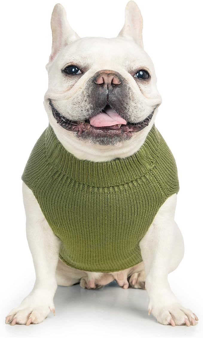 Stretchy Cat Sweater - Image 2