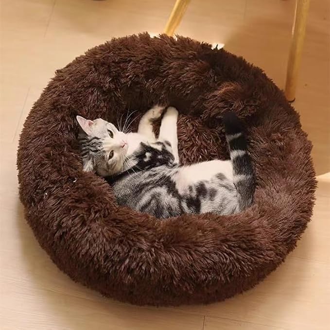 Cat Beds for Indoor Cats - Image 3