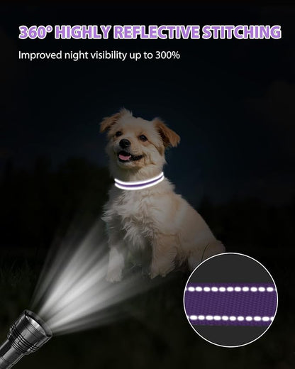 Joytale Small Dog Collar, Reflective and Adjustable Nylon Collar - Image 5