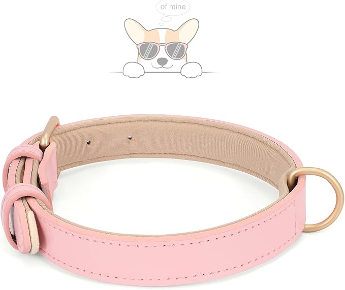 WHIPPY Leather Dog Collar for Small Dog Adjustable Soft Breathable Leather - Image 7