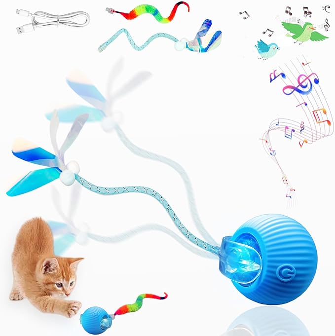 New Upgraded Cat Ball Toy by Unknown