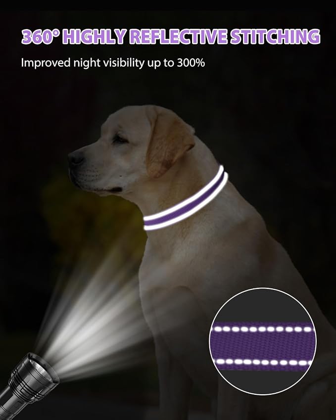Joytale Reflective Dog Collar, Adjustable Nylon Pet Collar - Image 5