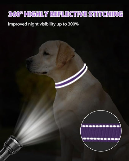 Joytale Reflective Dog Collar, Adjustable Nylon Pet Collar - Image 5