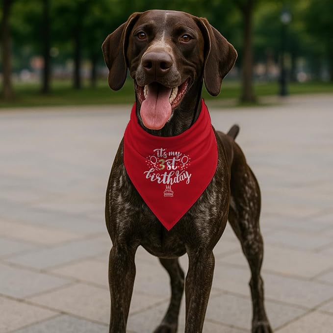 Birthday Dog Bandana, It's My 3 st Birthday Pet Costumes, Adjustable - Image 5