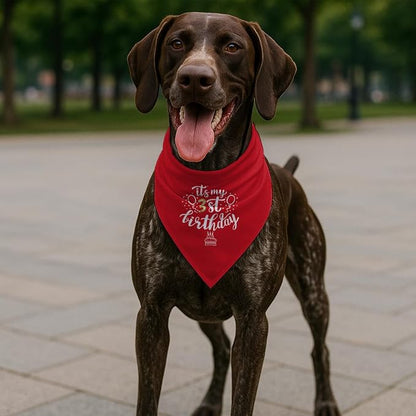 Birthday Dog Bandana, It's My 3 st Birthday Pet Costumes, Adjustable - Image 5
