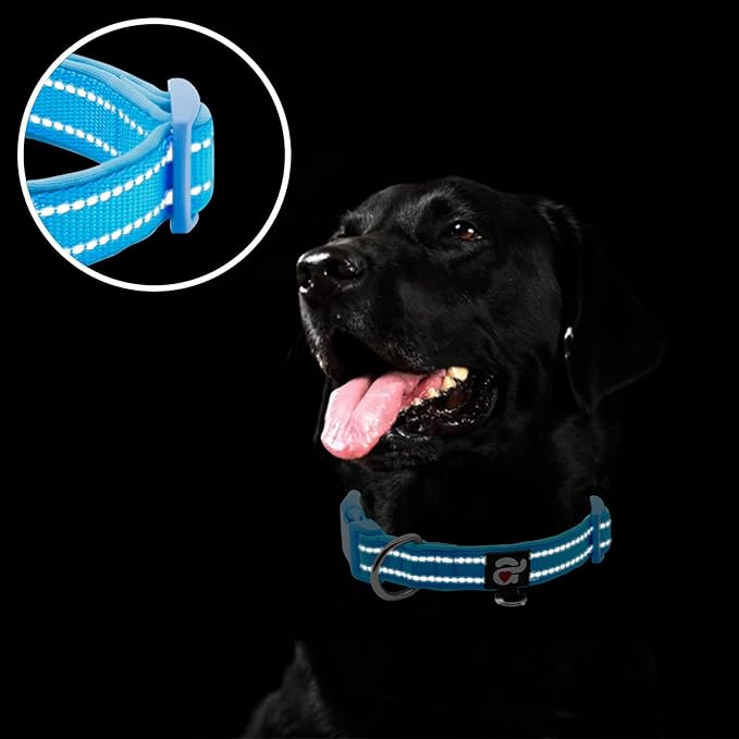 azuza Reflective Dog Collar, Soft Neoprene Padded Pet Collar - Image 4