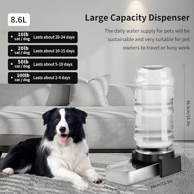 Marchul 2.3 Gallon Dog Water Dispenser, Large Dog Water Bowl Dispenser - Image 6