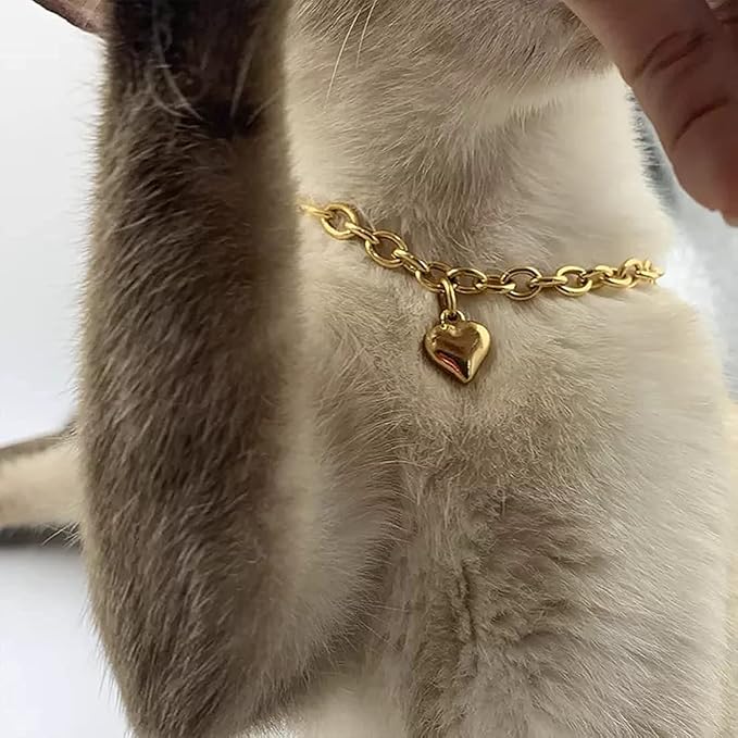 HOWWFALY Dog Collar and Cat Chain Necklace Stainless Steel Adjustable 18K Gold - Image 8