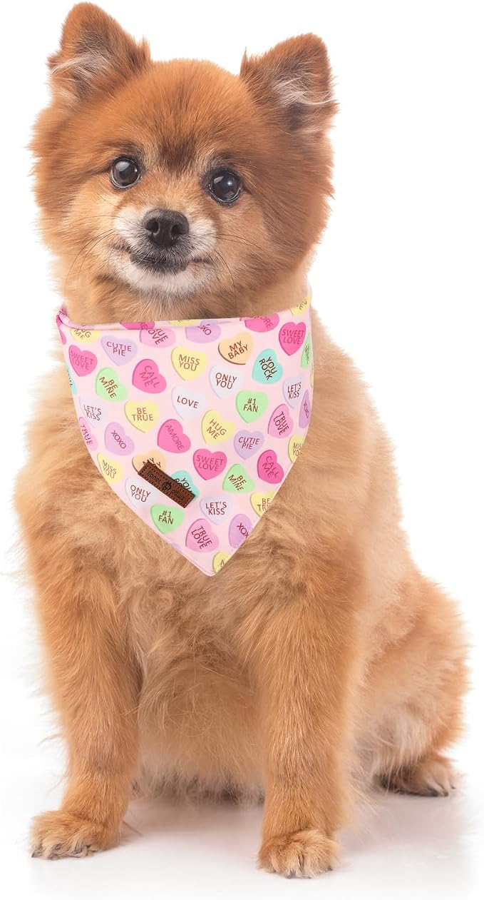Lionet Paws Valentine's Day Dog Bandana Washable Cotton Beige Handkerchief - Image 2