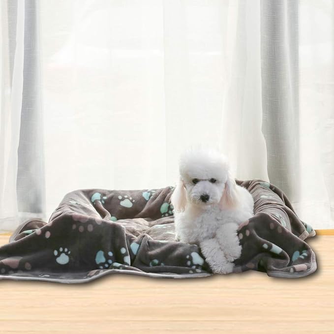 Allisandro 350 GSM Super Soft and Premium Fuzzy Flannel Fleece Pet Dog Blanket - Image 9
