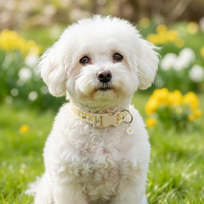 Cute Dog Collar, Spring Summer Design Floral Collar - Image 7