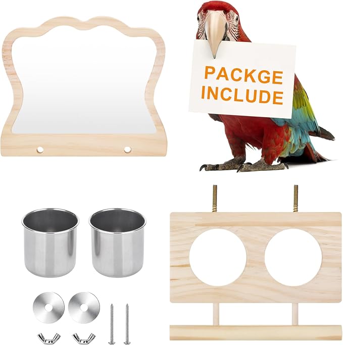 Feeder with Acrylic Mirror & Stainless Steel Bowls, Natural Wood Perch - Image 7