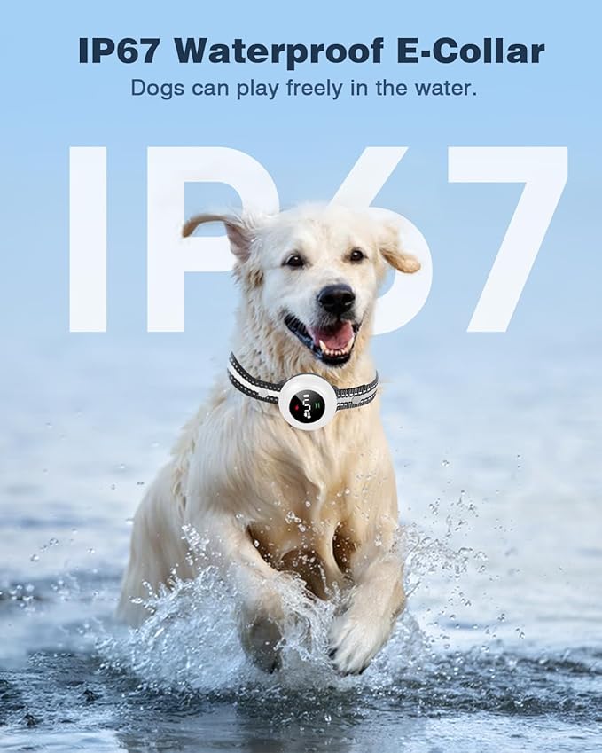 2-in-1 Dog Shock Collar & Dog Bark Collar - Image 5