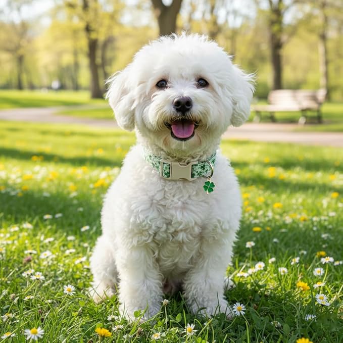 XS Dog Collar for St. Patrick's Day, Cute Dog Collar - Image 6