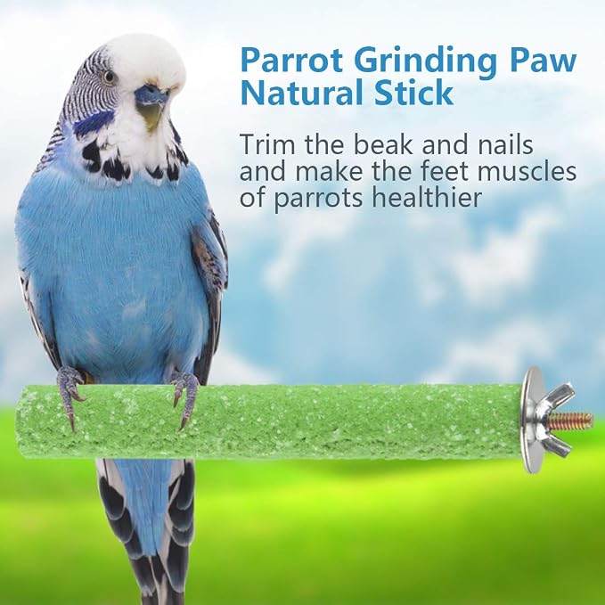 Hamiledyi Parrot Perch Stand Toy, Bird Cage Perch Toy, Natural Paw Grinding - Image 4
